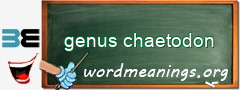WordMeaning blackboard for genus chaetodon
